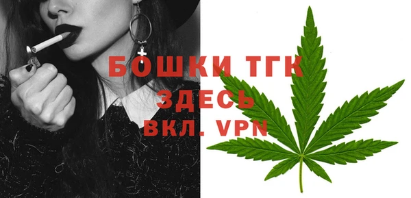 ПСИЛОЦИБИНОВЫЕ ГРИБЫ Балабаново