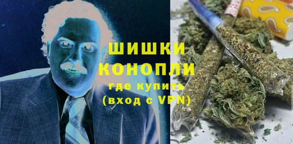 ПСИЛОЦИБИНОВЫЕ ГРИБЫ Балабаново