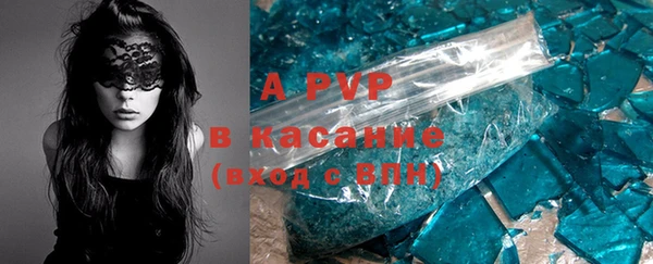 мяу мяу мука Баксан